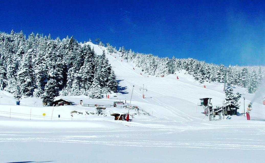 شقة Studio La Poule Au Pot Pieds Des Pistes Font Romeu Pyrenees 2000 Bolquere Pyrenees 2000 المظهر الخارجي الصورة